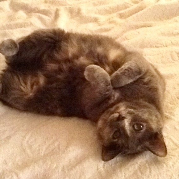 ❤️💋 LOVE Vintage Hats 💕👒 - Picture 1 of 13